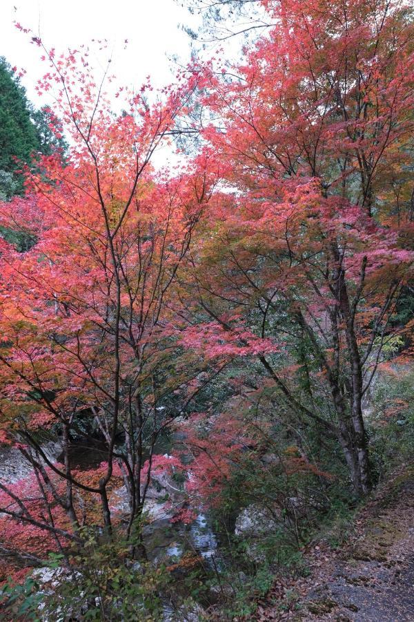 Shimanto Riverside Hideaway Luaran gambar